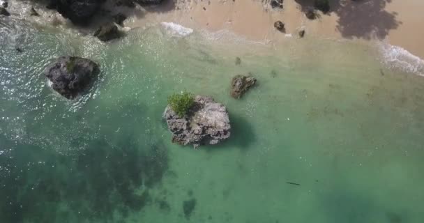 Flygfoto över Padang Padang stranden — Stockvideo