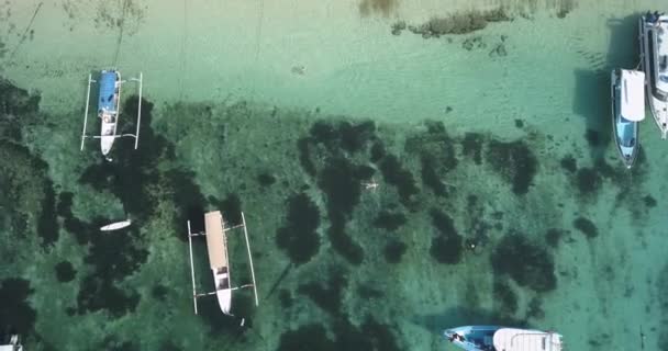 Aerial view of woman floating on water — Stock Video