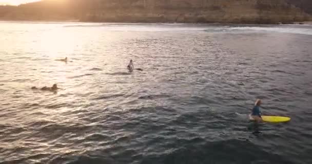 Luchtfoto van surfers en boten — Stockvideo