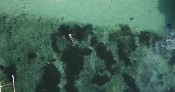 Vista aérea de la mujer flotando en el agua — Vídeo de stock