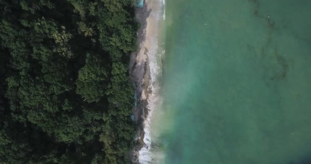 Flygfoto över Thomas stranden, Padang Padang — Stockvideo