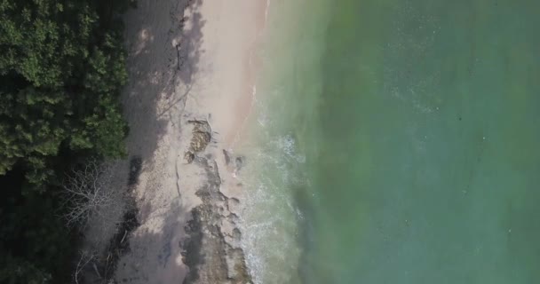 Pemandangan udara Thomas Beach, Padang Padang — Stok Video