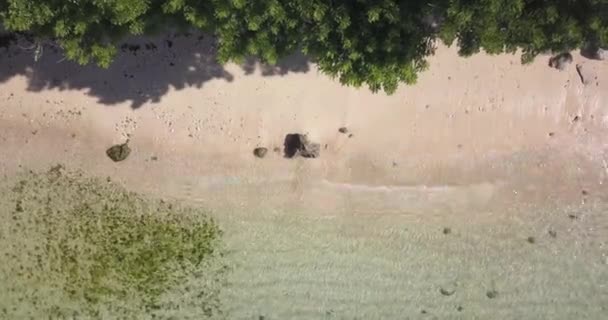 Aerial view of Nyang Nyang beach — Stock Video