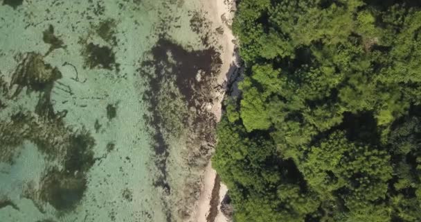 Aerial view of Nyang Nyang beach — Stock Video