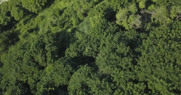 Вид с воздуха на пляж Нян Нян — стоковое видео