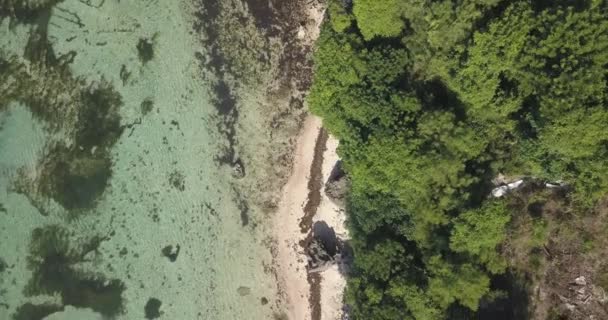 Vue aérienne de la plage de Nyang Nyang — Video