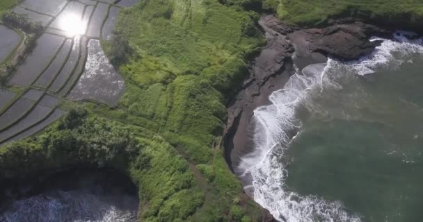 Vista aérea dos campos de arroz agrícola na costa oceânica — Vídeo de Stock