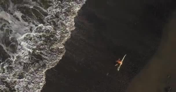 มุมมองทางอากาศของผู้เล่นเซิร์ฟที่ชายหาด — วีดีโอสต็อก