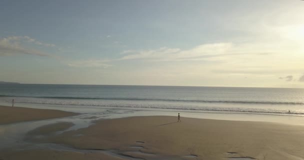 Vue aérienne de la jeune femme marchant sur la plage — Video