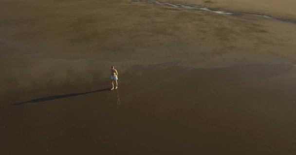 Pemandangan udara dari wanita muda berjalan di pantai — Stok Video