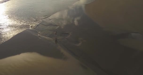 Luchtfoto van een jonge vrouw die op het strand loopt — Stockvideo