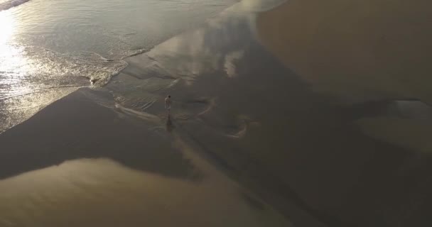 Vista aérea de una joven caminando por la playa — Vídeo de stock