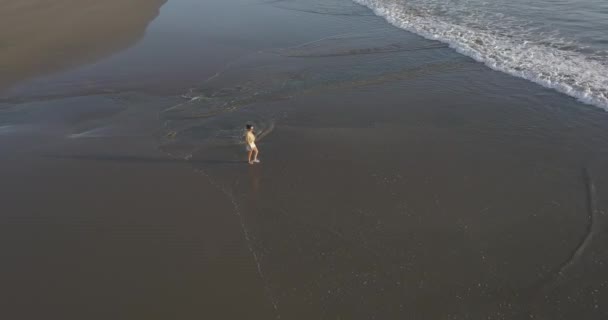 Kumsalda yürüyen genç bir kadının hava manzarası. — Stok video