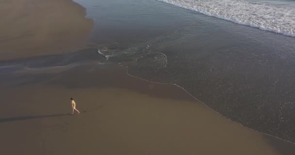 Flygfoto av ung kvinna promenader på stranden — Stockvideo