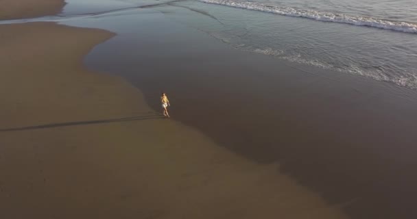 ビーチを歩く若い女性の空中ビュー — ストック動画