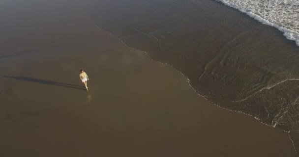 Widok z powietrza na młodą kobietę spacerującą po plaży — Wideo stockowe