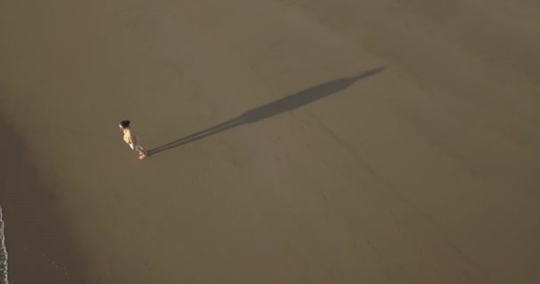 ビーチを歩く若い女性の空中ビュー — ストック動画