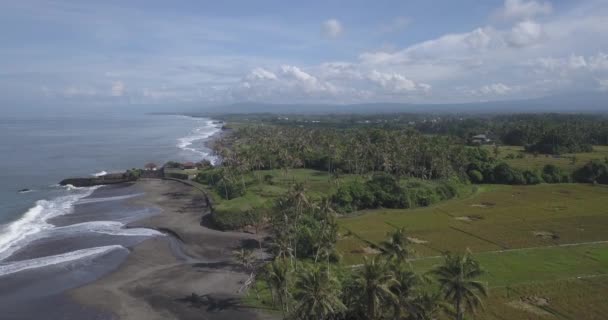 Vue aérienne de la plage de Kedungu — Video