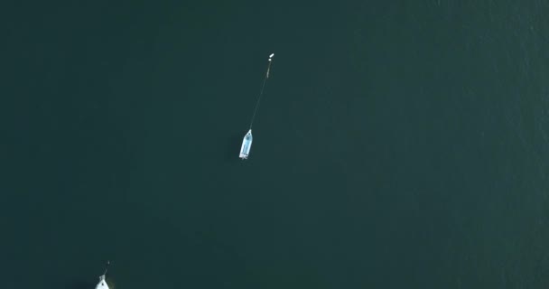 Flygfoto av båtar som flyter i blå vatten — Stockvideo