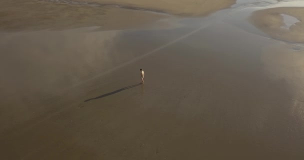 Vista aérea de una joven caminando por la playa al atardecer — Vídeo de stock