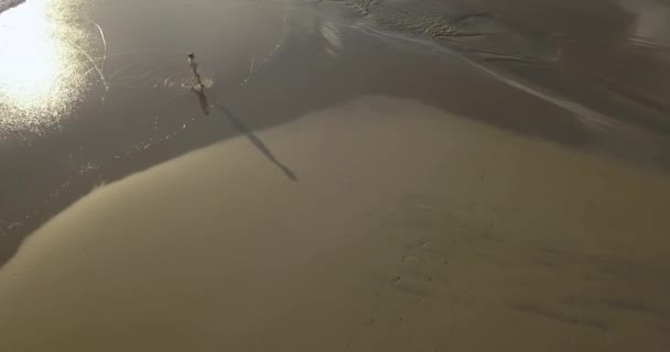 Luchtfoto van een jonge vrouw die bij zonsondergang aan het strand loopt — Stockvideo