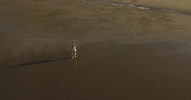Luchtfoto van een jonge vrouw die bij zonsondergang aan het strand loopt — Stockvideo