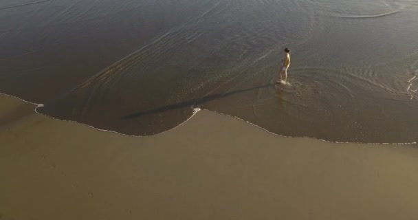 夕日のビーチを歩く若い女性の空中ビュー — ストック動画