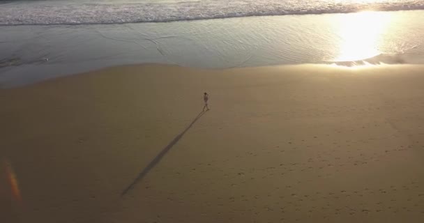 Luftaufnahme einer jungen Frau, die bei Sonnenuntergang am Strand spaziert — Stockvideo