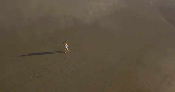 Вид с воздуха на молодую женщину, гуляющую на пляже на закате — стоковое видео