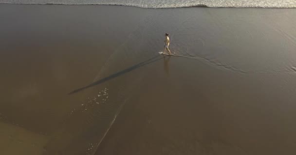 Вид с воздуха на молодую женщину, гуляющую на пляже на закате — стоковое видео