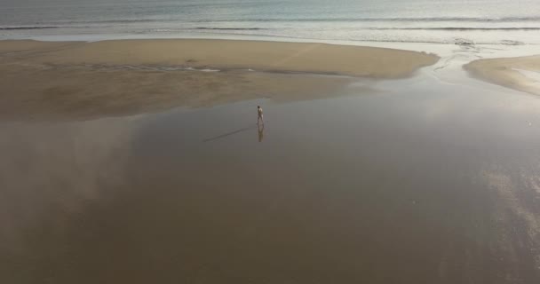 Vue aérienne de la jeune femme marchant sur la plage au coucher du soleil — Video