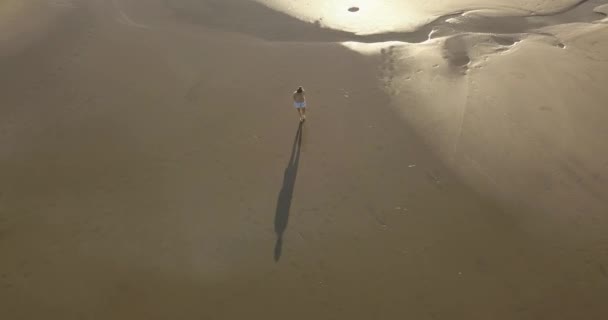 Luchtfoto van een jonge vrouw die bij zonsondergang aan het strand loopt — Stockvideo