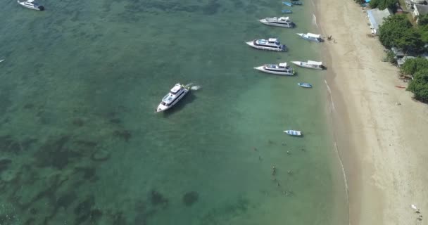 Luchtfoto van boten afgemeerd op zee tijdens zonnige dag — Stockvideo