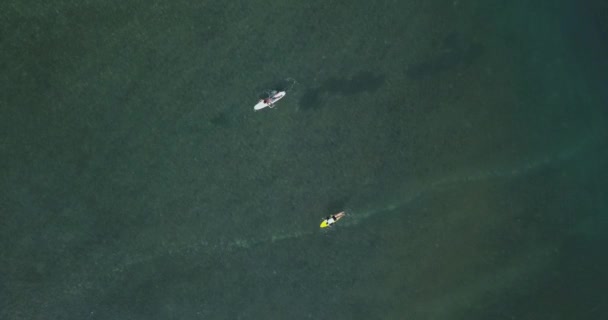 Вид с воздуха на серферов в океане — стоковое видео