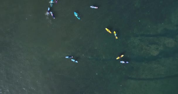 Vista aérea de los surfistas en el océano — Vídeo de stock