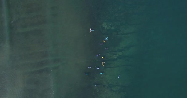 Vista aérea de los surfistas en el océano — Vídeo de stock