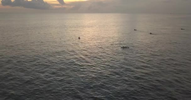 Légi felvétel a szörfösökről az óceánban naplementekor — Stock videók