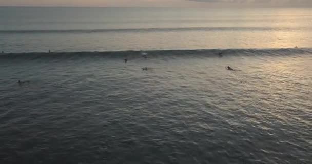 Vue aérienne des surfeurs dans l'océan au coucher du soleil — Video