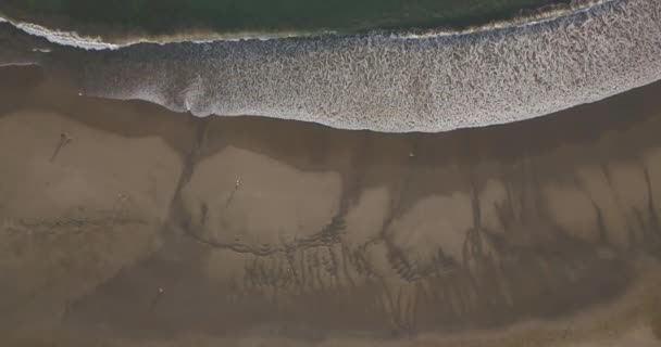 Luchtfoto van mensen op het strand — Stockvideo