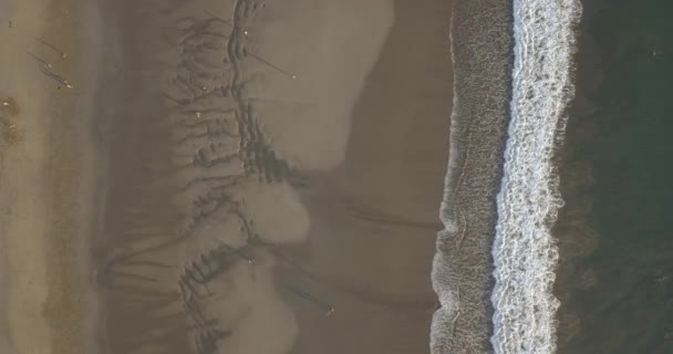 Flygfoto av människor på stranden — Stockvideo