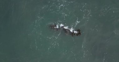 Okyanustaki kayaların havadan görünüşü