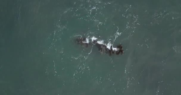 Aerial view of rock in an ocean — Stock Video