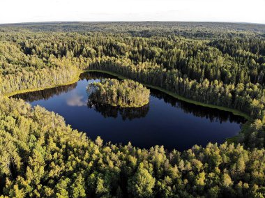  Rusya Valday Ormanı 'nın ortasında yuvarlak adalı bir göl manzarası.