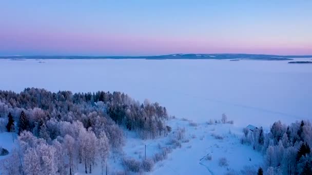 拉普兰的空中景观 芬兰拉普兰冬季森林无人驾驶飞机图像 — 图库视频影像