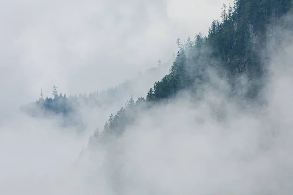 Nuvens Brancas Nevoeiro Sobre Florestas Nas Montanhas Palfau Áustria Imagens De Bancos De Imagens Sem Royalties
