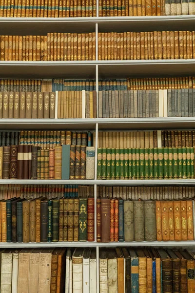 Livros Prateleiras Antiga Biblioteca Admont Áustria Fotos De Bancos De Imagens
