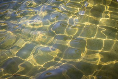 İlkbaharda su yüzeyi. Su yüzeyine ve güneşin tabanına bak..