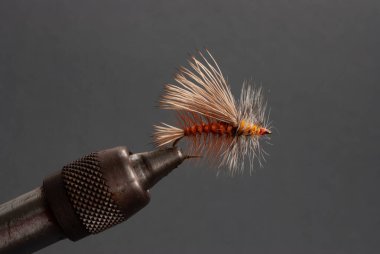 Bir Caddis 'in Kancadaki Sineği Yaklaştır