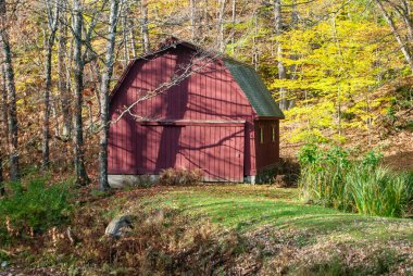 Sonbahar yaprakları olan genel kırmızı bir ahır.