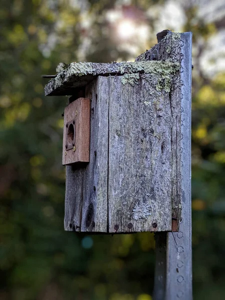 Una casa per uccelli in legno grigio ricoperta di licheni — Foto Stock